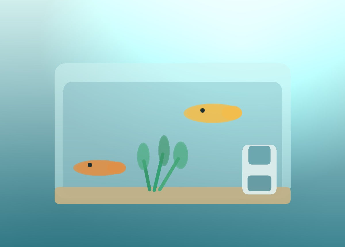 Aquarium care kit
